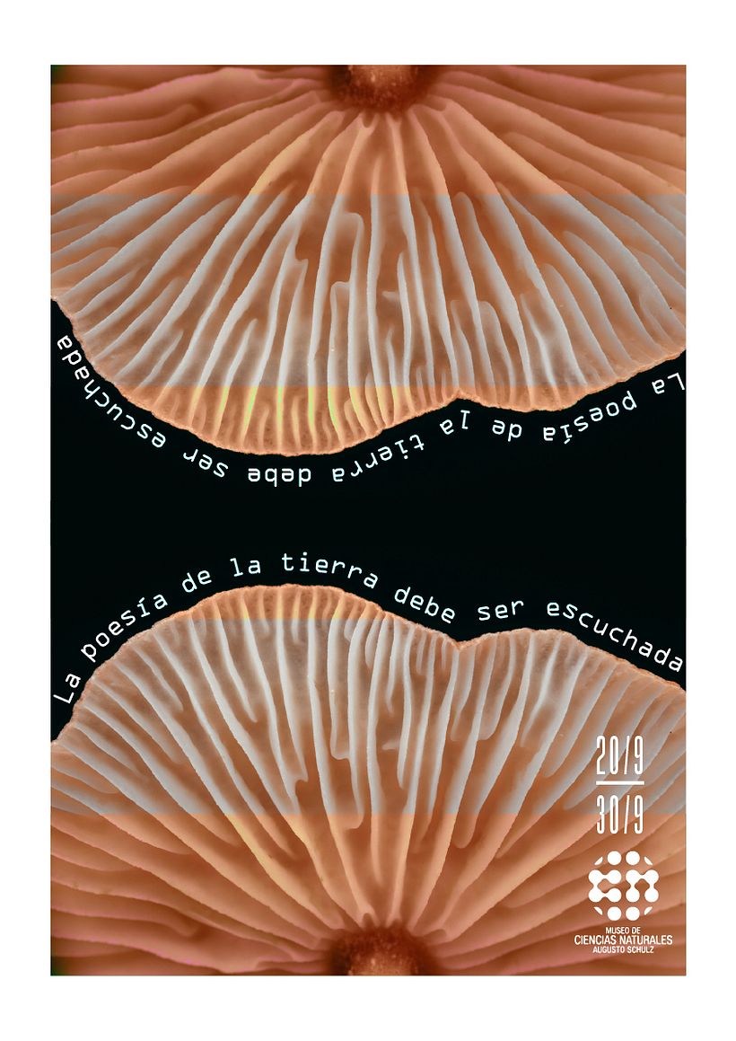 Mi proyecto del curso: Principios básicos de diseño gráfico 3