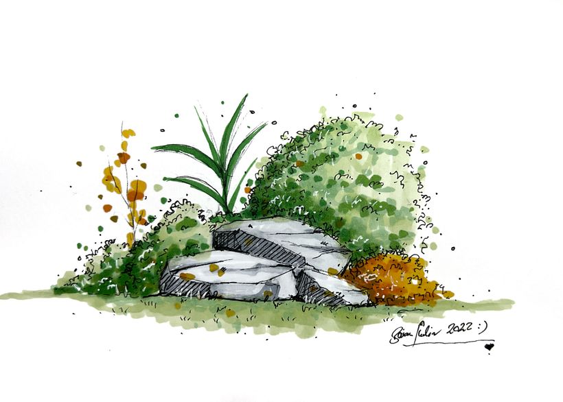 Landscape  1