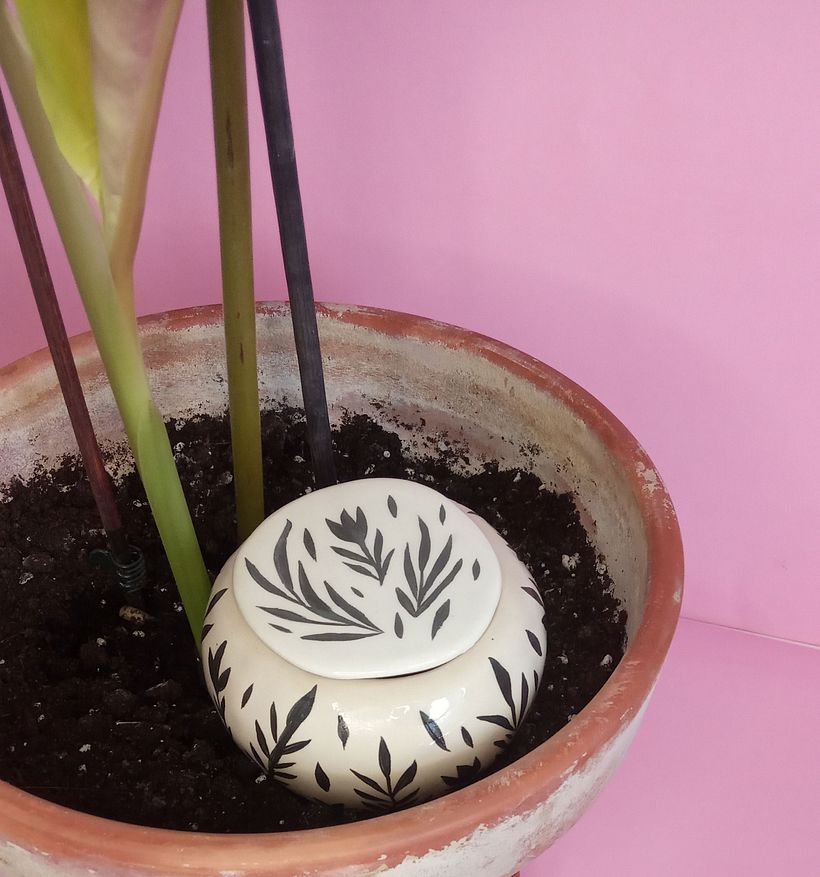 Noch einer, etwas größer