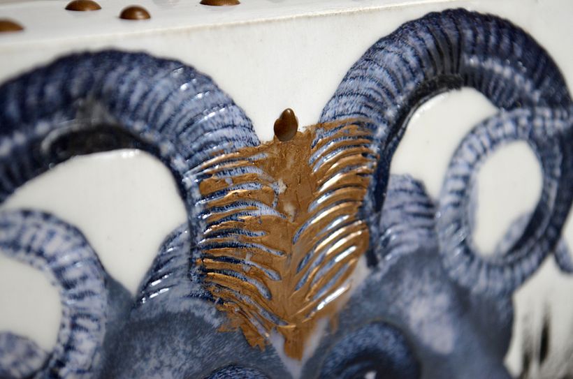 Diprosopus 11