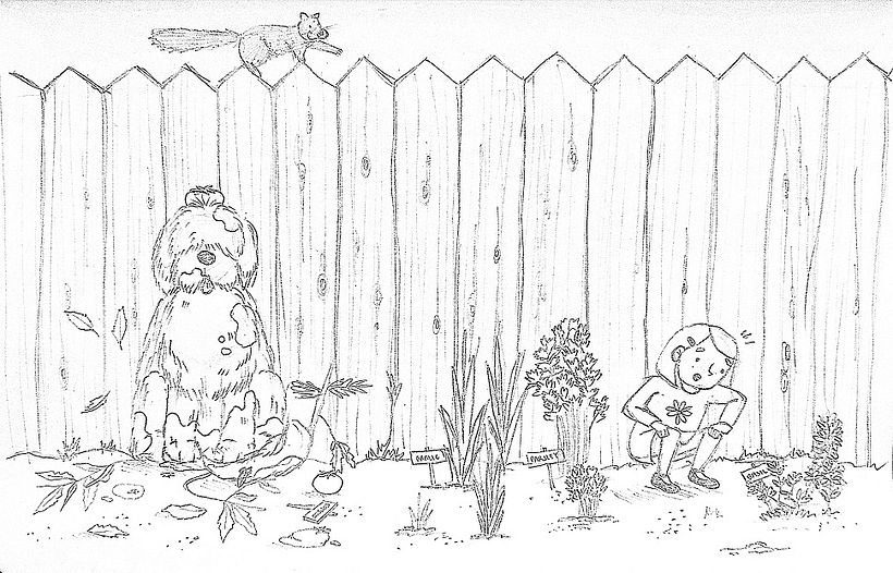 Illustrating and Writing a Children's Book 5