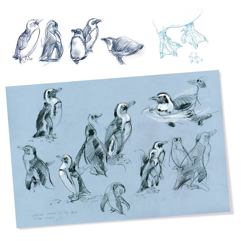 The Field Guide to Drawing & Sketching Animals 10