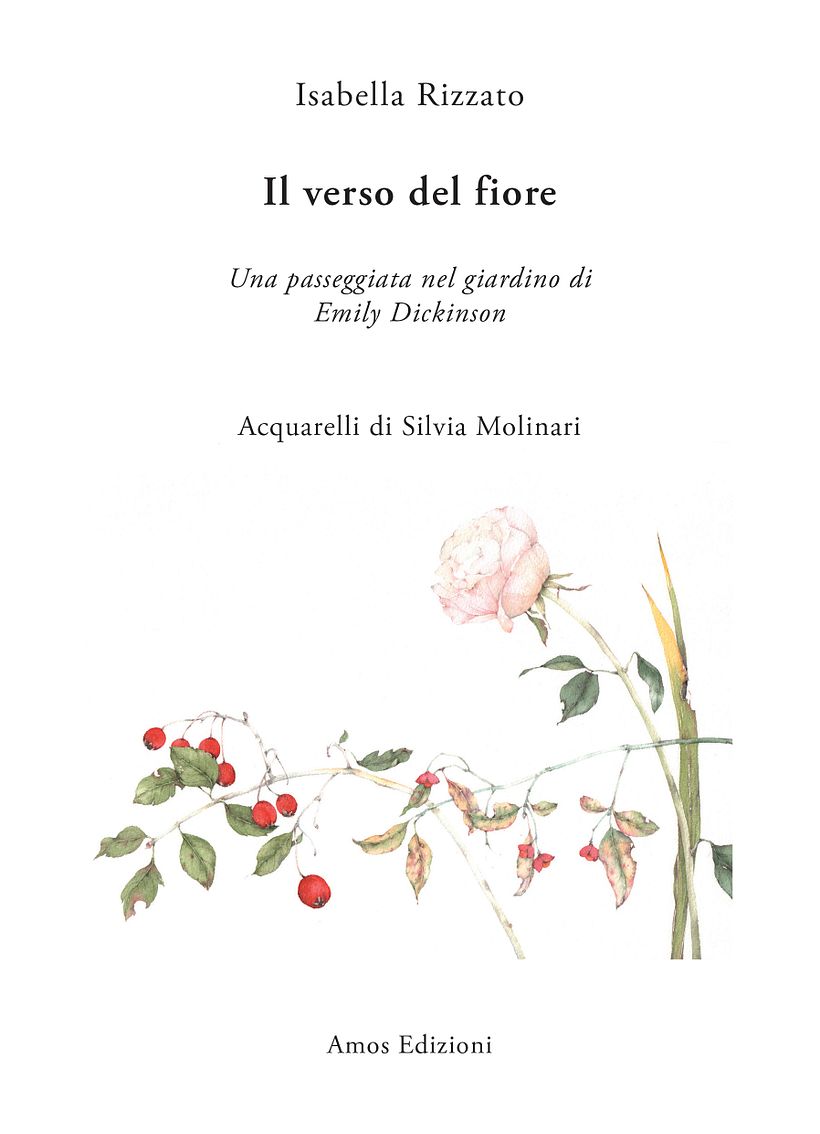 *Il verso del fiore*, copertina