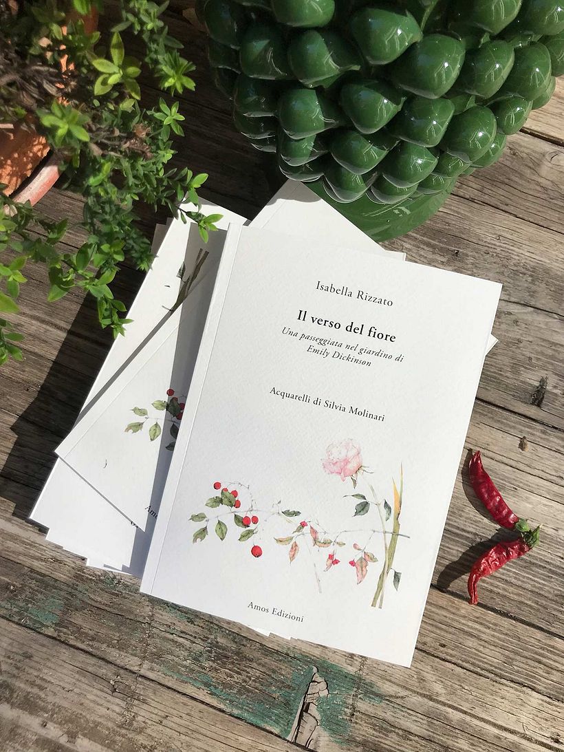 *Il verso del fiore*, di Isabella Rizzato e Silvia Molinari, ed. Amos Edizioni