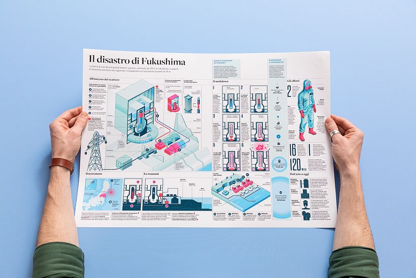 The Fukushima Nuclear Disaster 12