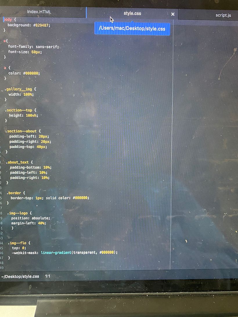 Mi proyecto del curso: Diseño web creativo: planificación y programación desde cero 5