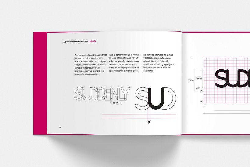 Suddenly identidad 5