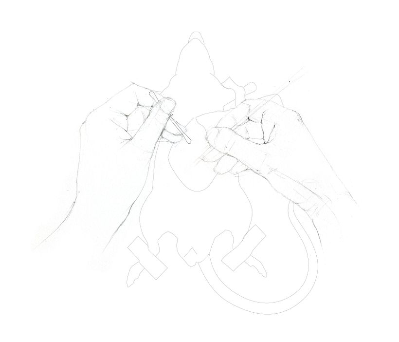 Line drawing/design