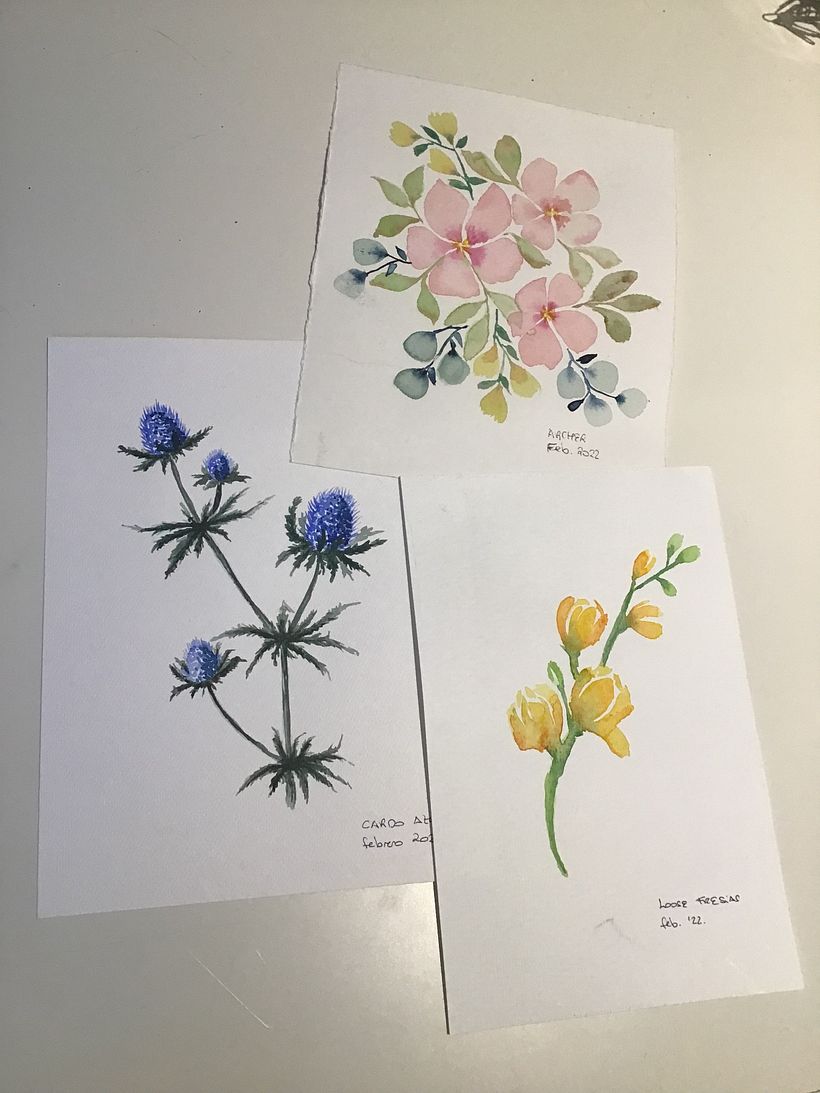 My watercolours at the beginning of the course 3