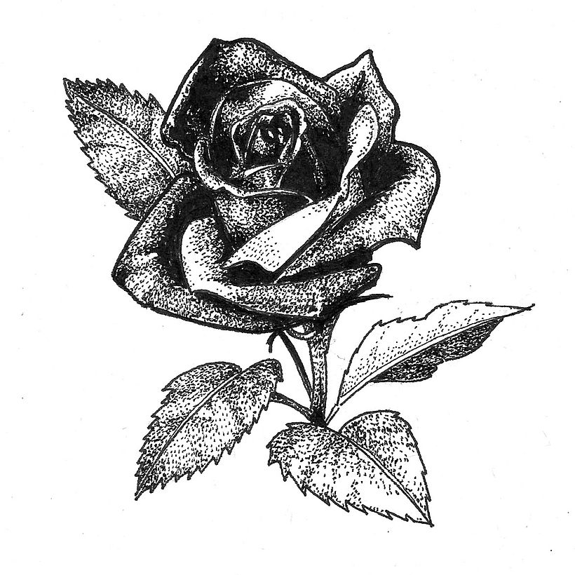 Mi proyecto del curso: Diseño de tatuajes Blackwork 7