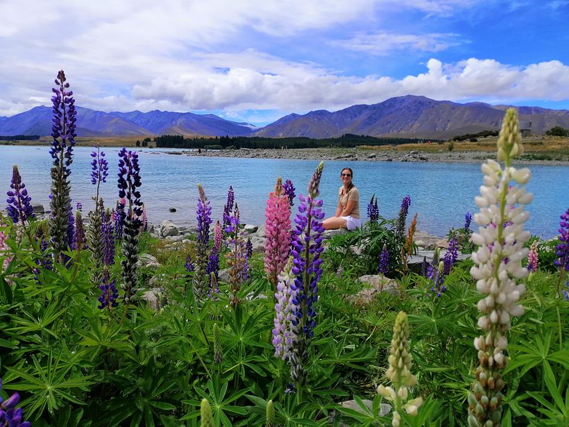 Lupine Lover  3