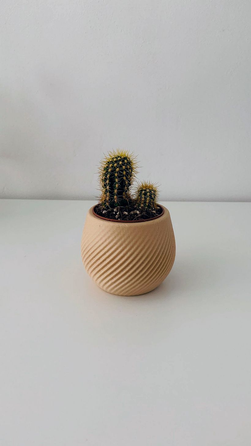 Diseño de Mini Maceta 3