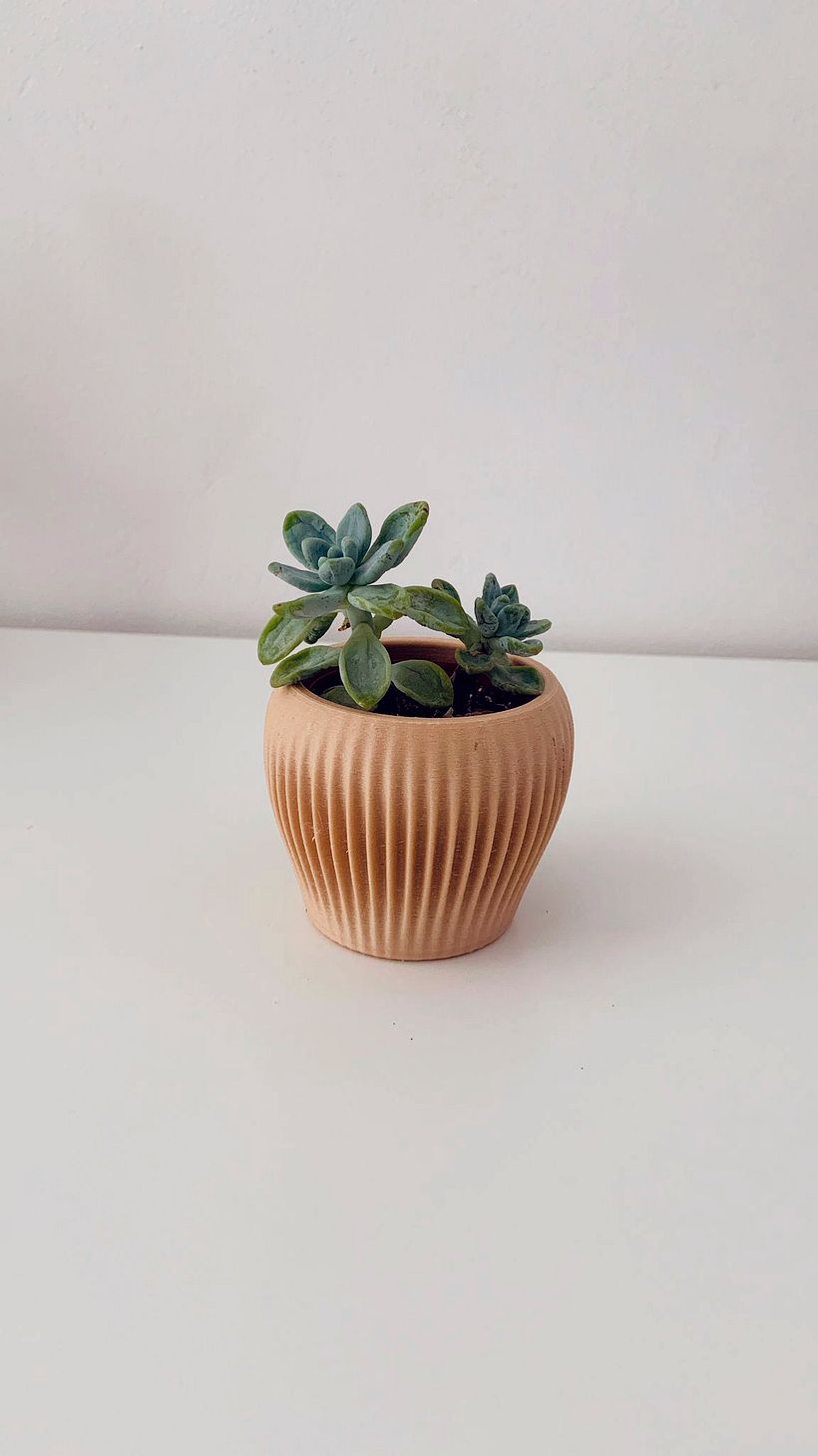 Diseño de Mini Maceta 4