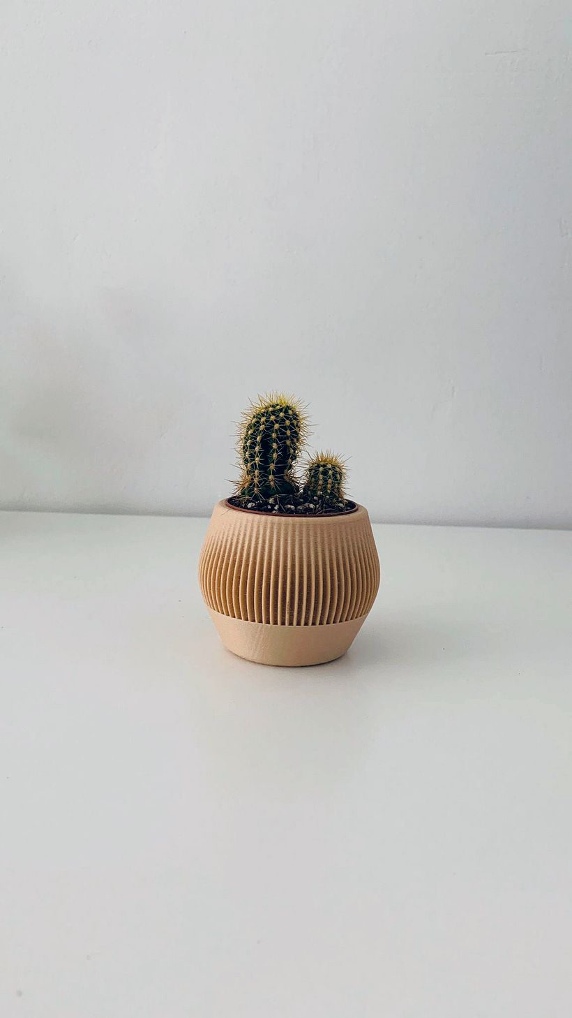 Diseño de Mini Maceta 5