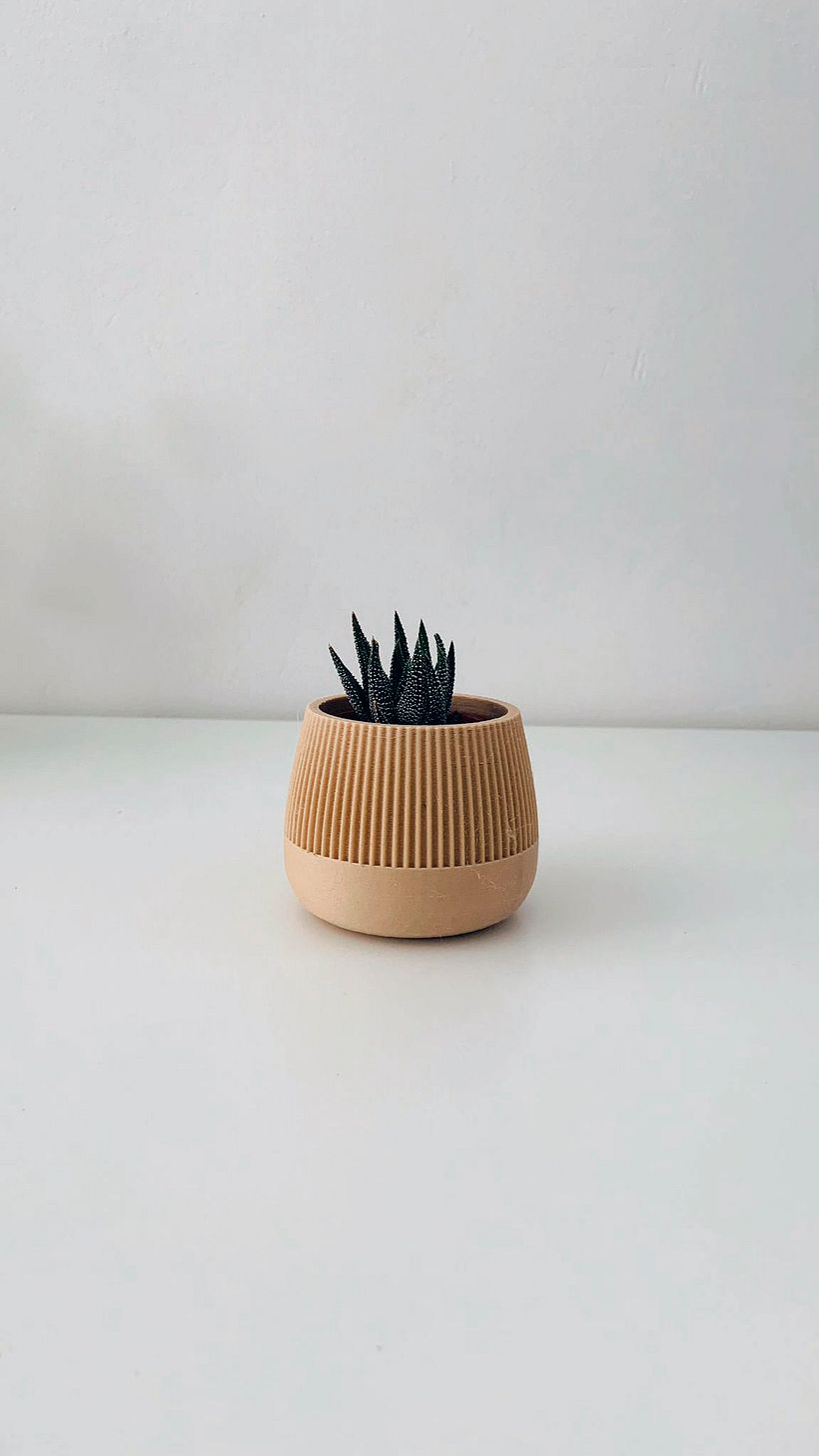 Diseño de Mini Maceta 6