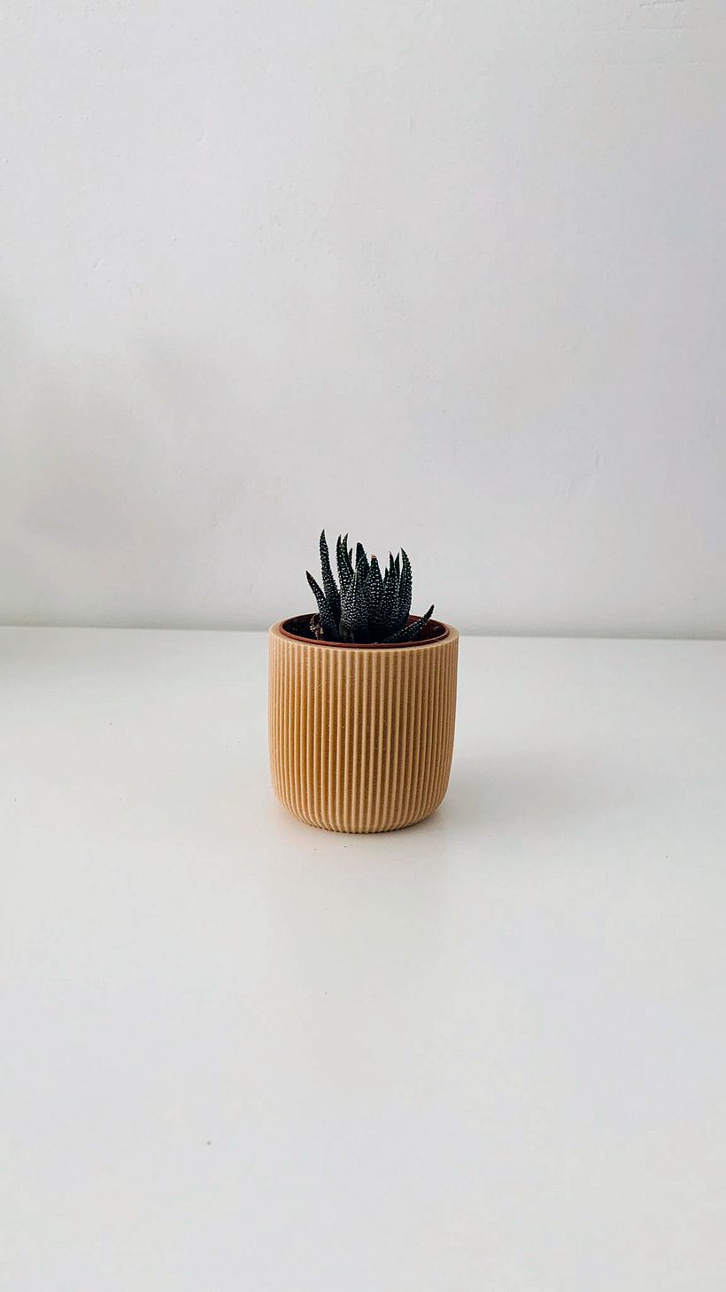 Diseño de Mini Maceta 7