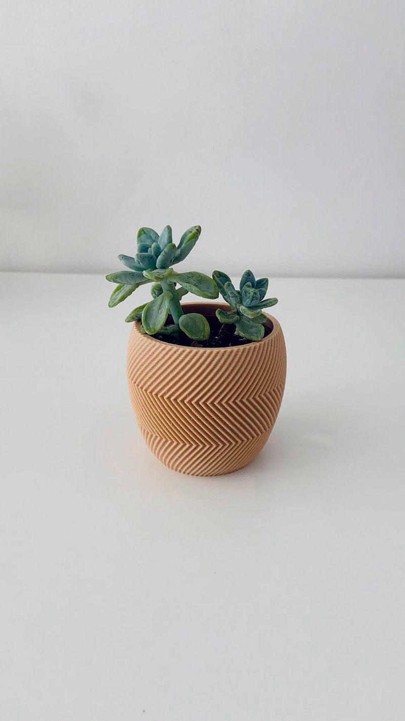 Diseño de Mini Maceta 8