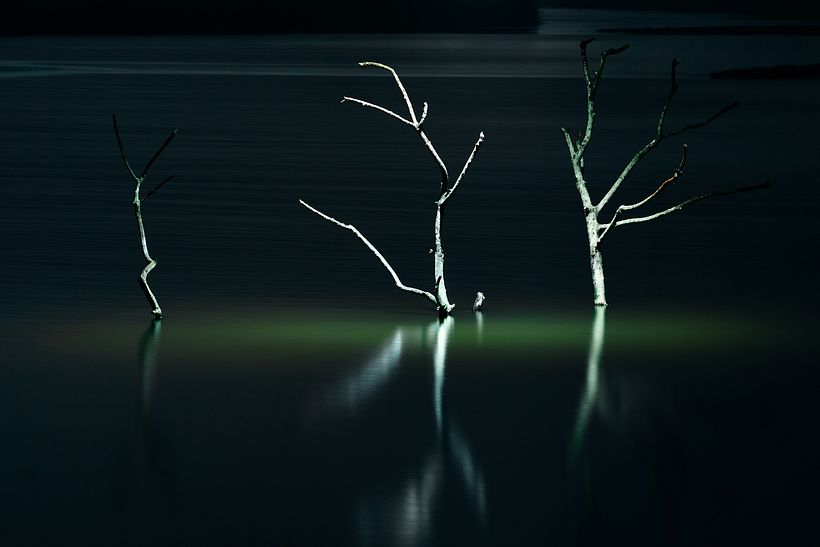 Desenlace Natural 11