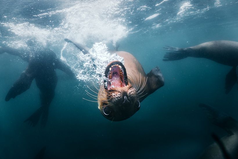 Fotografía de Naturaleza 2