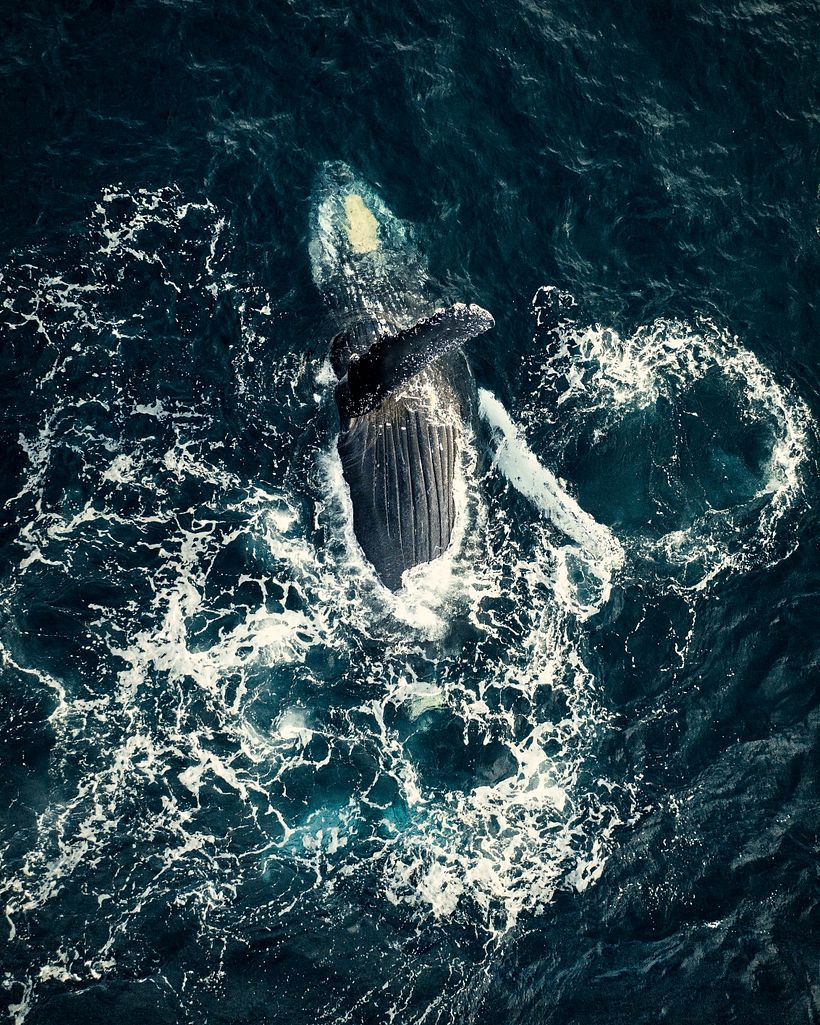 Fotografía de Naturaleza 7