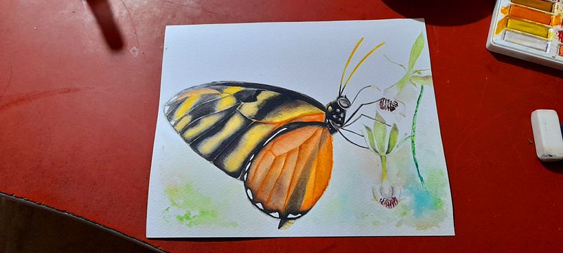 Mon projet du cours : Aquarelle réaliste et compositions botaniques 1