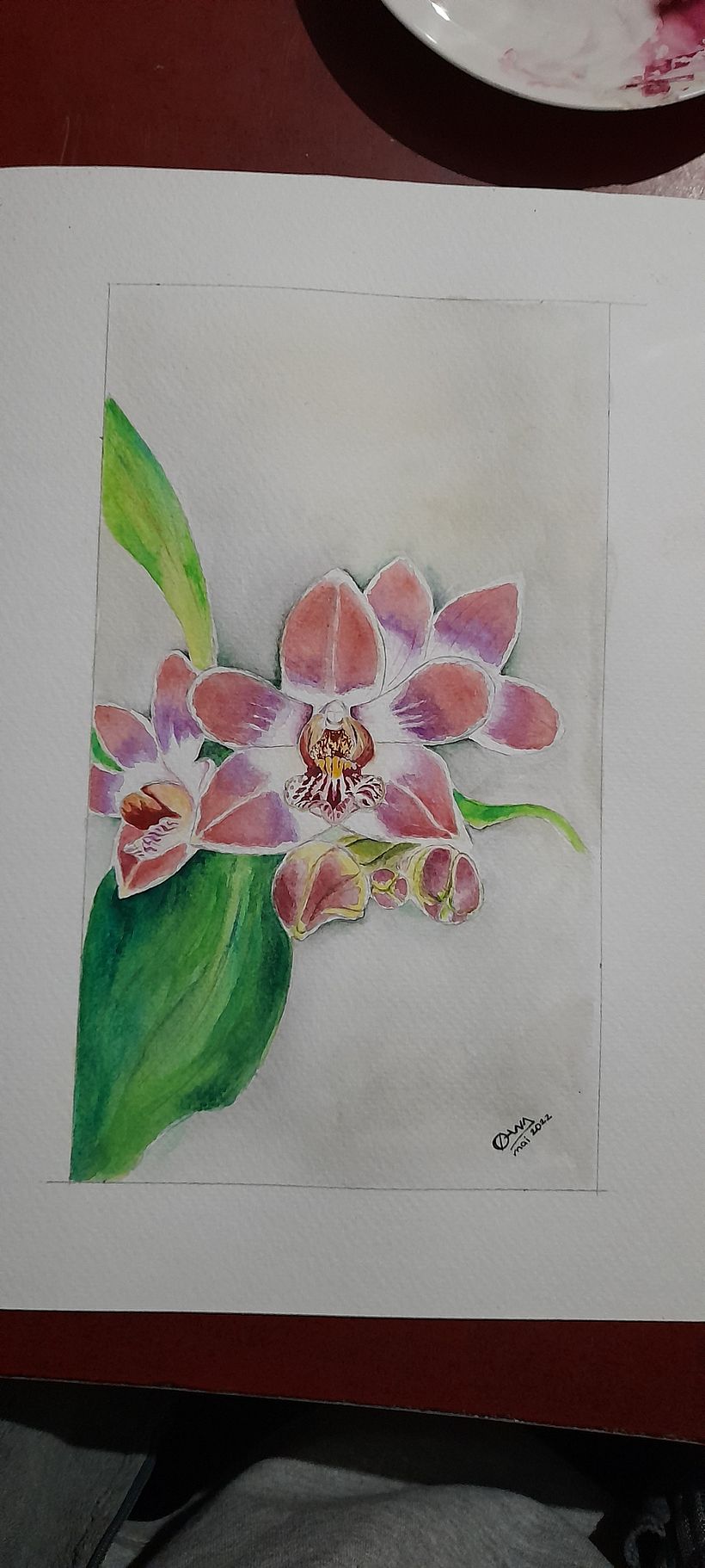 Mon projet du cours : Aquarelle réaliste et compositions botaniques 3