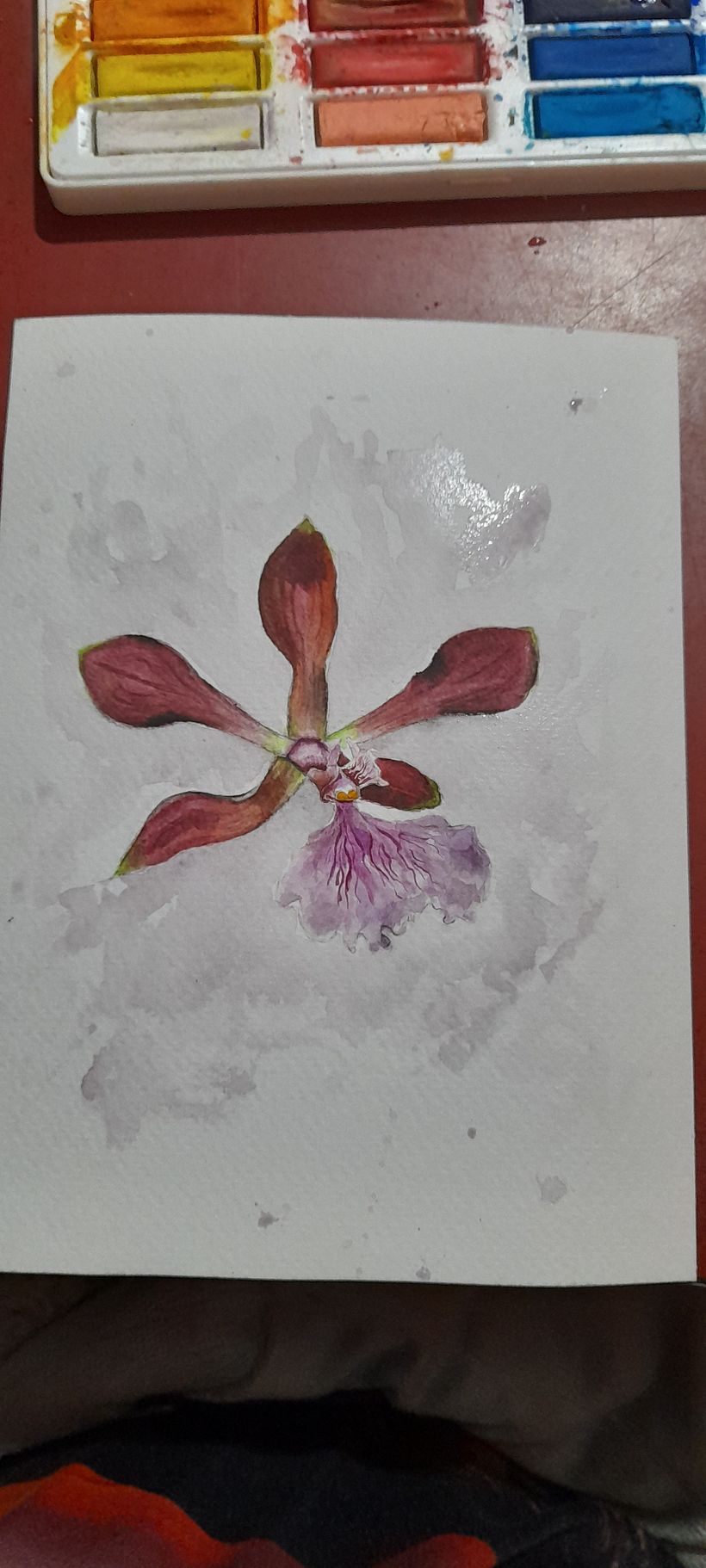 Mon projet du cours : Aquarelle réaliste et compositions botaniques 3