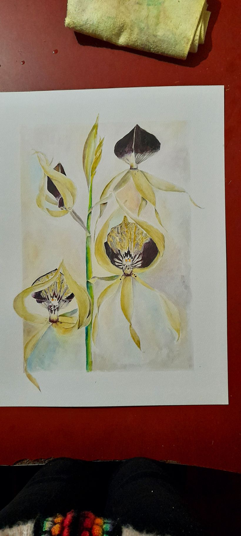 Mon projet du cours : Aquarelle réaliste et compositions botaniques 4
