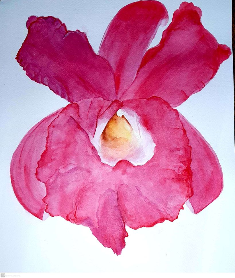 Mon projet du cours : Aquarelle réaliste et compositions botaniques 9