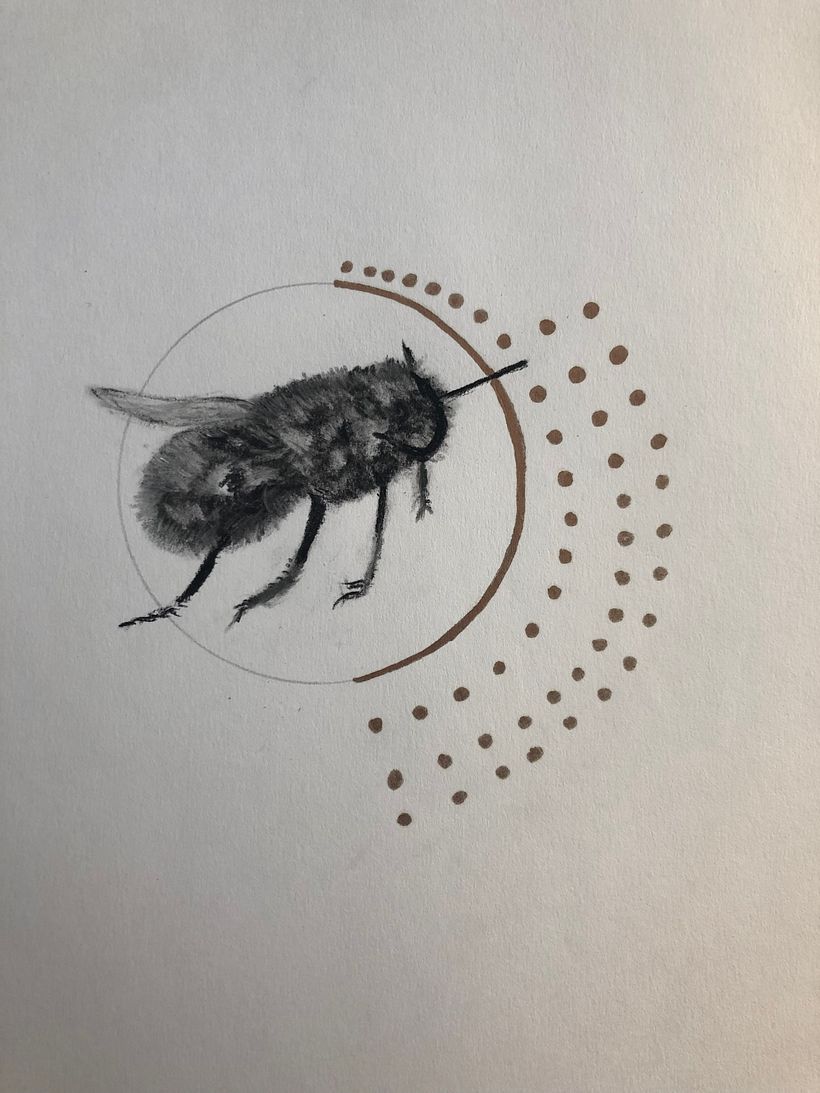 My project for course: Illustrating the Natural World with Watercolor and Charcoal 2