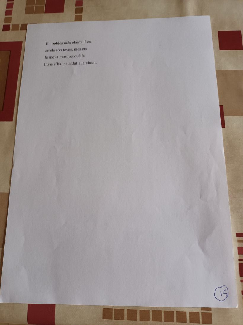 ABSENCIES  14