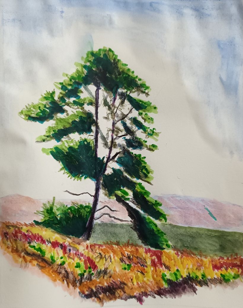 Colour study 