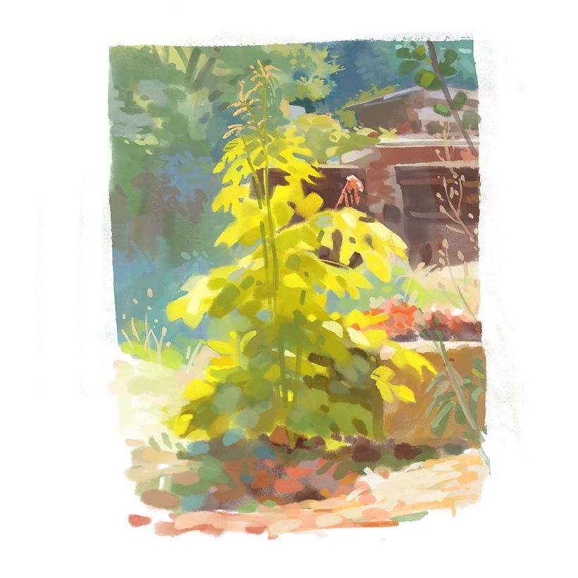 Studies 9