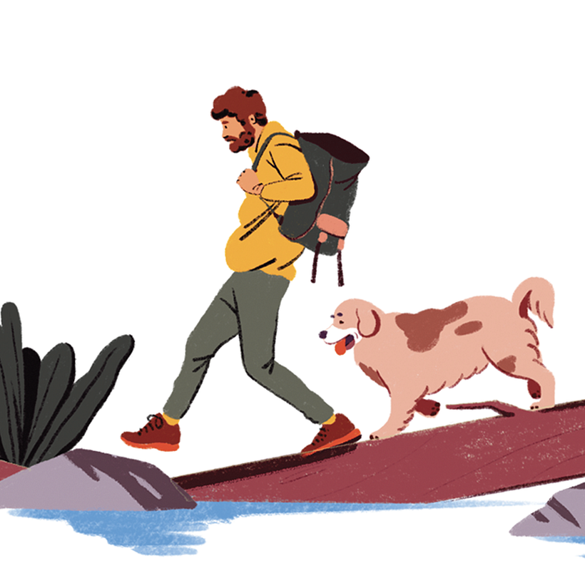 Additional illustration