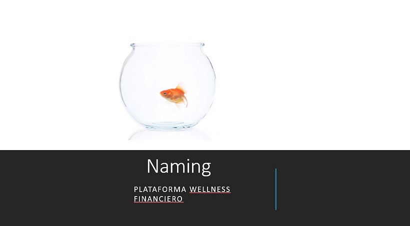 Meu projeto do curso: Naming: Plataforma wellness financiero  1