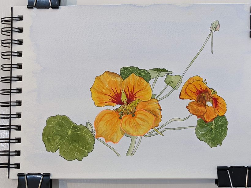 with watercolor