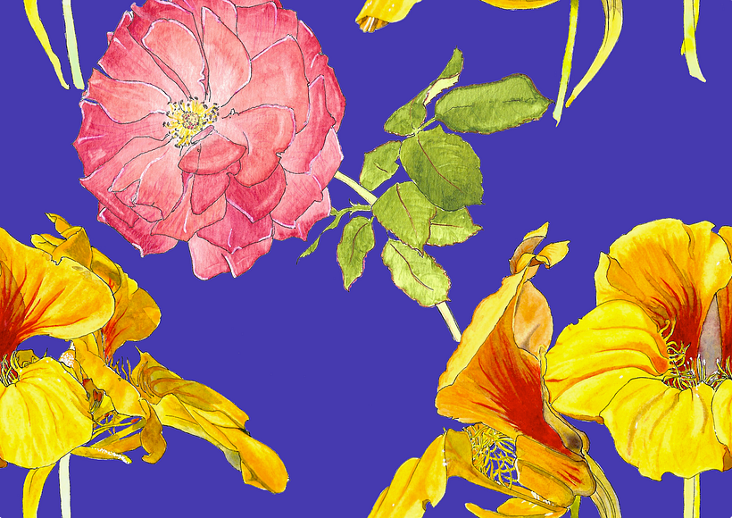 drawings imported and edited in photoshop