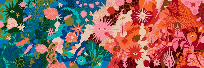 Black Sheep Cycling - Split the Difference 1