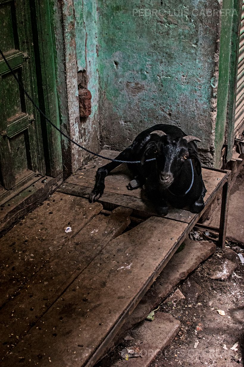 Travel Photography 15