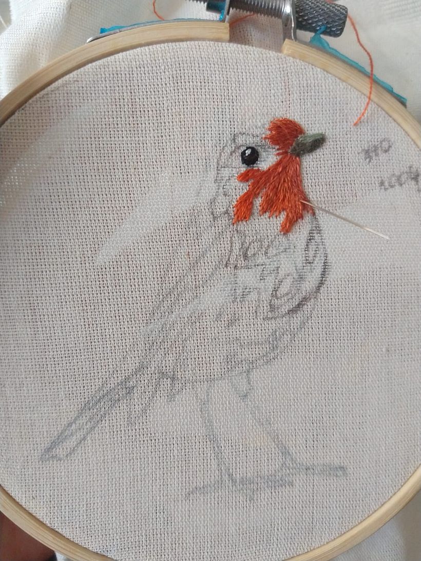 Nesse projeto, decidi fazer meu pintarroxo de 10 cm, com uma cara mais realista, por isso não fiz as linhas escuras base.