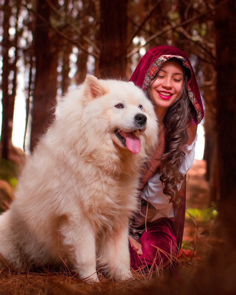 Fotos de mi mascota instagram: dolce.arte.photographer 4