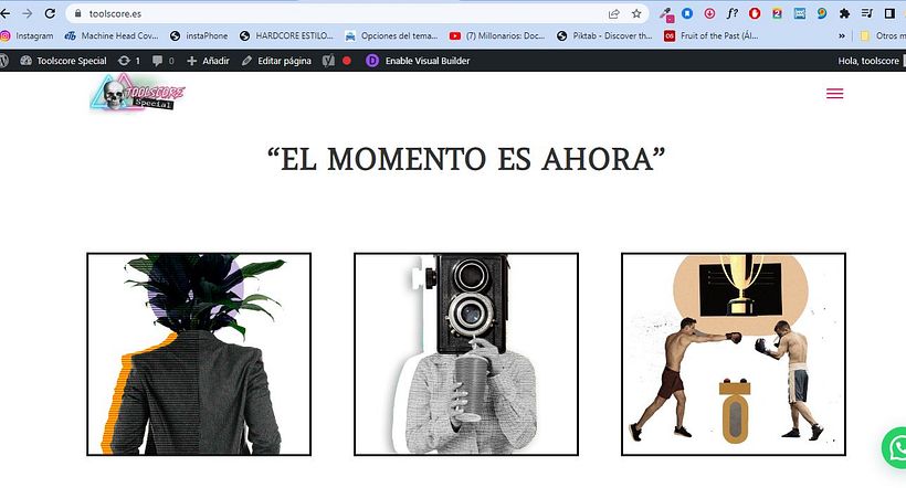 PORTAFOLIO DE  TRABAJOS "WWW. TOOLSCORE . ES" 17