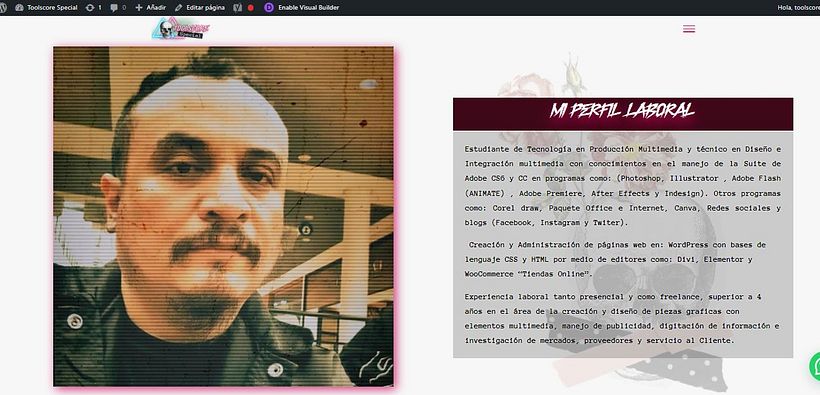PORTAFOLIO DE  TRABAJOS "WWW. TOOLSCORE . ES" 21
