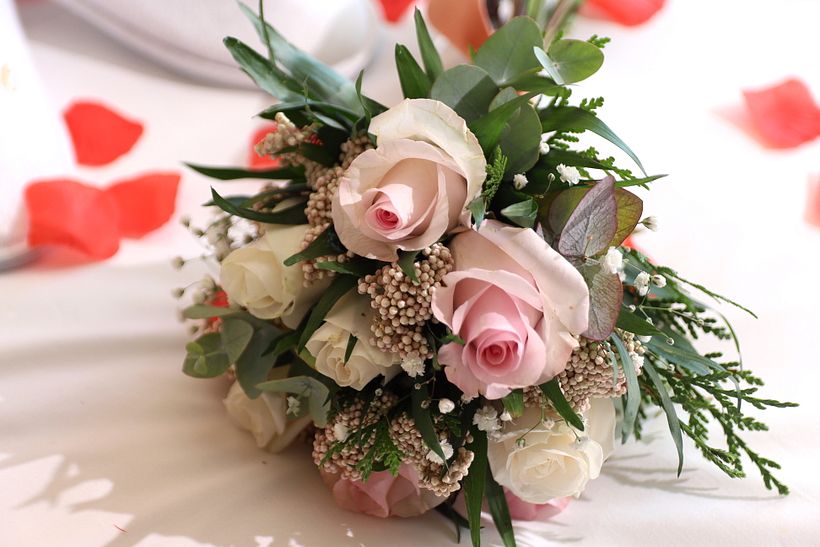 Mi proyecto del curso: Introducción a la fotografía digital 1