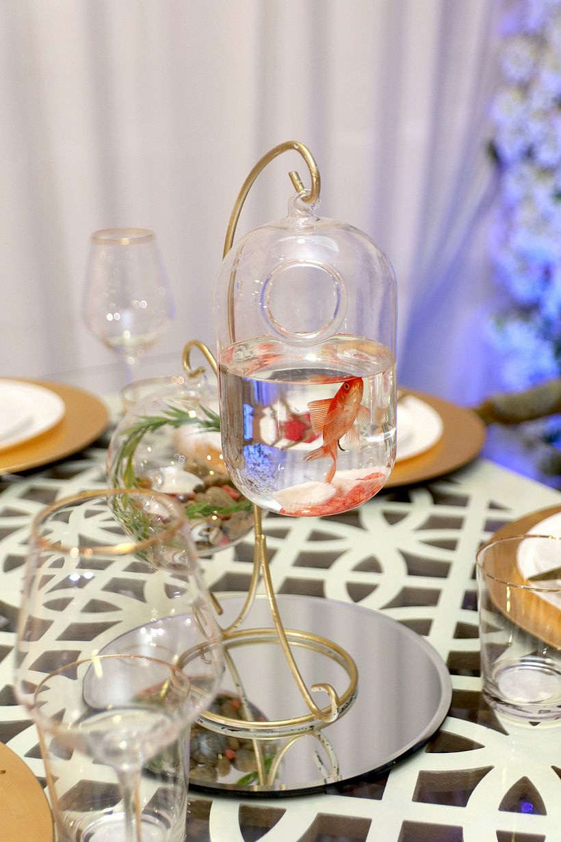 Mi proyecto del curso: Introducción a la fotografía digital 11