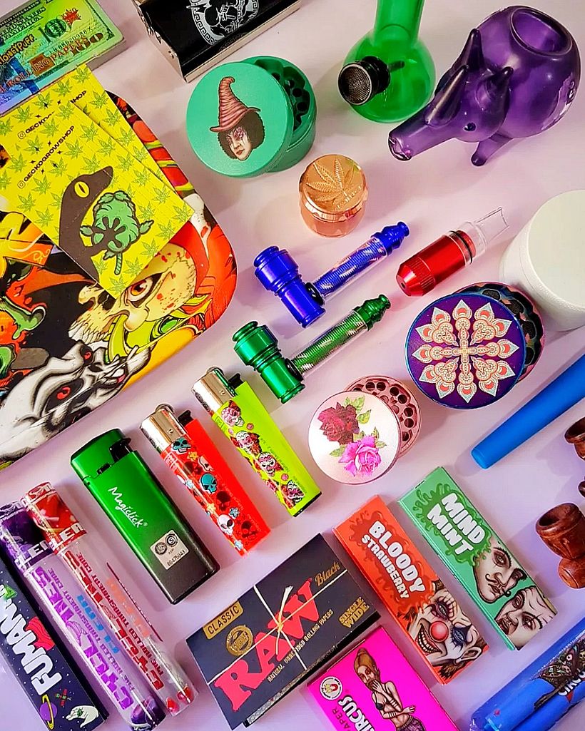 Geckogrowshop 2