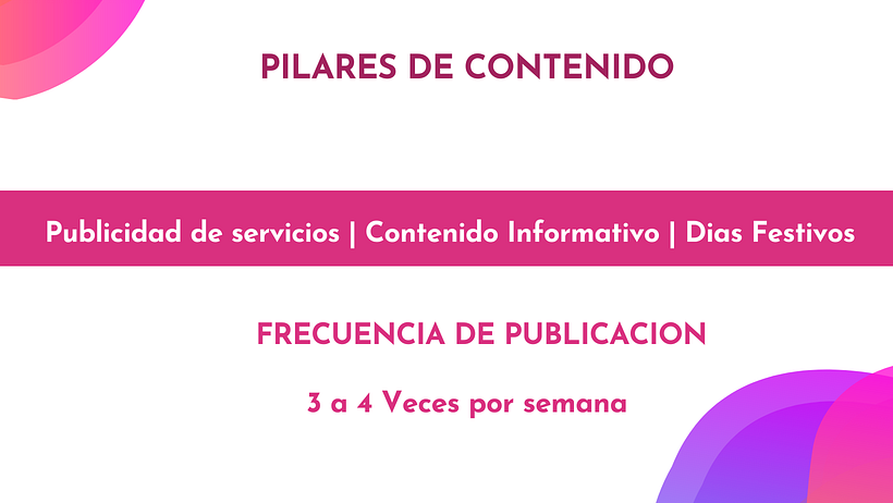 Mi proyecto del curso: Introducción al community management 4