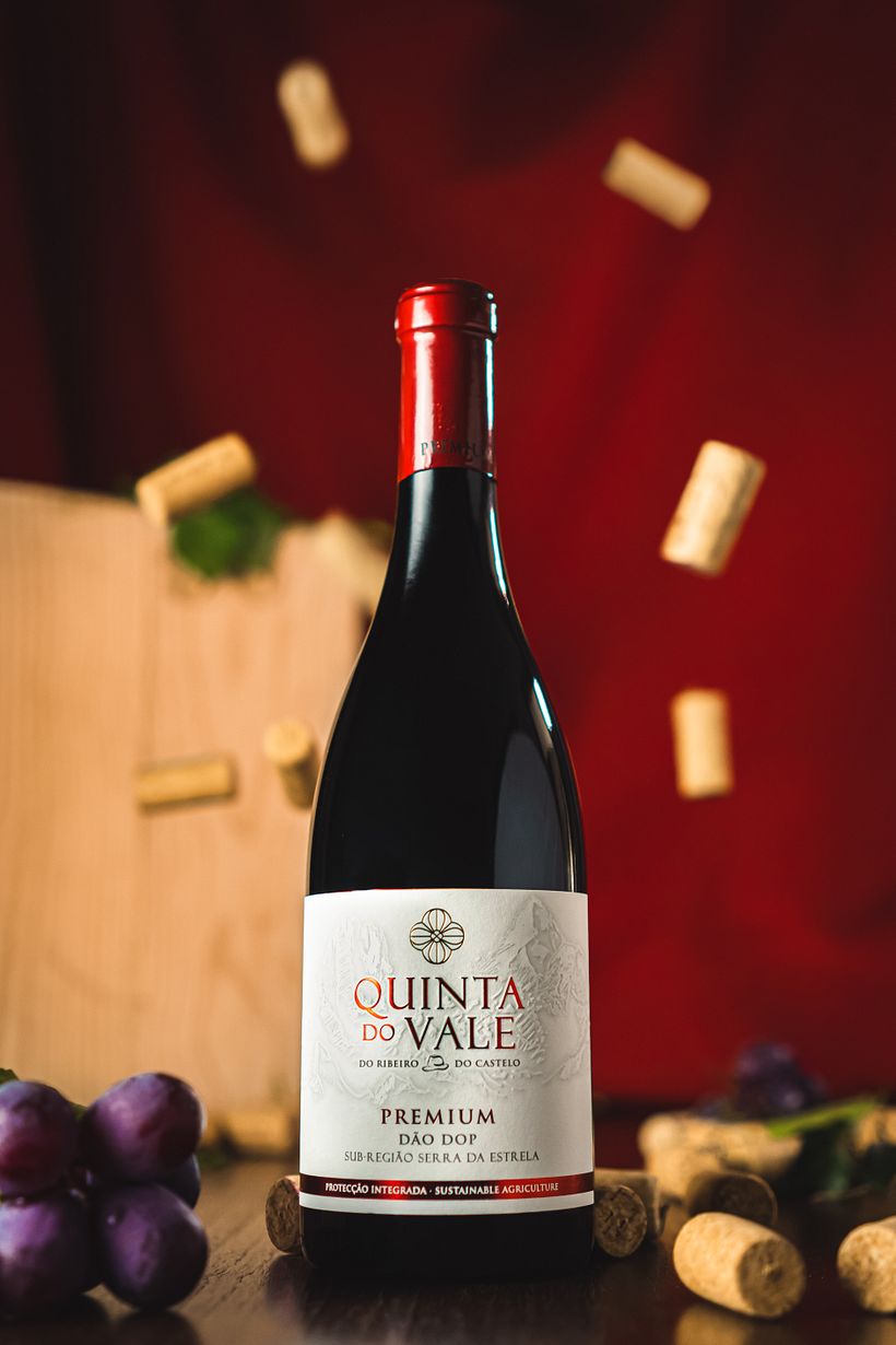 Fotografia de Vinho 1