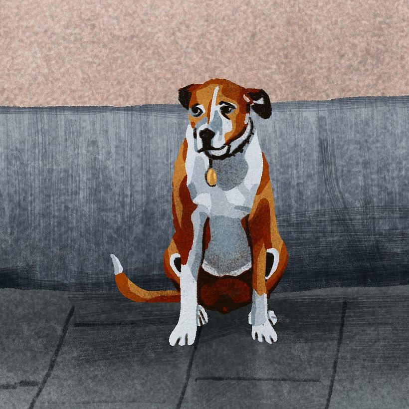 Mi proyecto del curso: Historias ilustradas con Procreate: explora texturas y pinceles 1