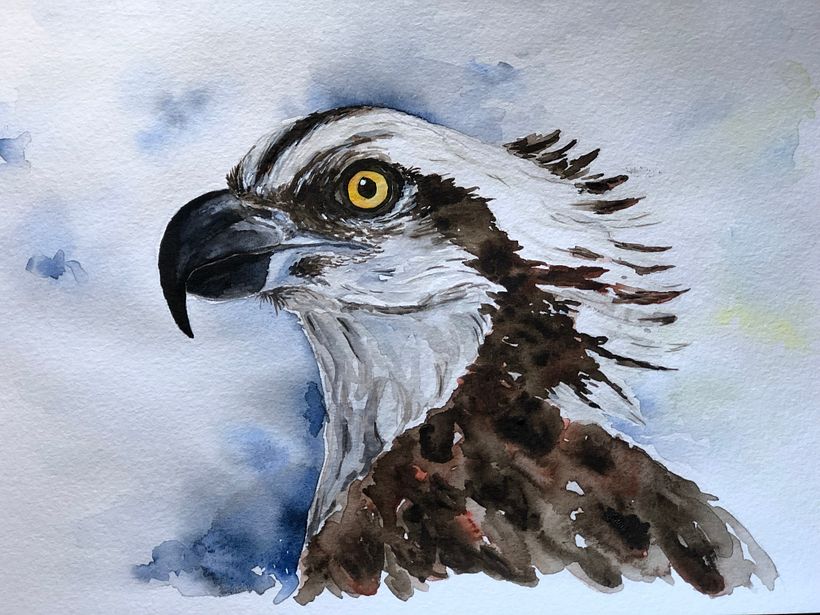My project for course: Artistic Watercolor Techniques for Illustrating Birds 1